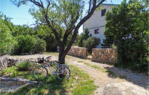 Ciclism la sau în apropiere de Pet Friendly Home In Sveti Juraj
