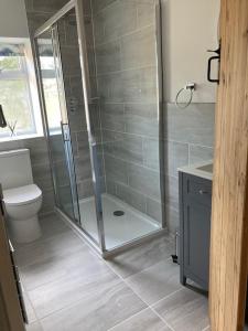 a bathroom with a shower and a toilet at Luxury cottage with Hot Tub in Fenny Compton