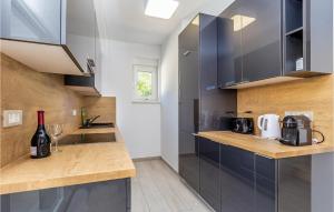 Linardićiにある3 Bedroom Gorgeous Home In Linardiciの黒いキャビネットとワインのボトルが置かれたキッチン