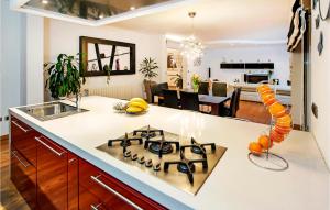 O bucătărie sau chicinetă la Gorgeous Home In Rovinjsko Selo