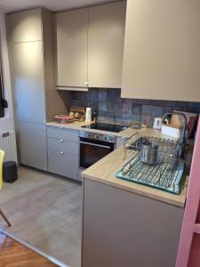 Imagem da galeria de Funky appartment em Zaječar