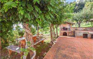 a bench sitting under a tree next to a building at 4 Bedroom Nice Home In Pietrasanta in Pietrasanta