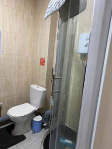 a bathroom with a toilet and a shower at Neil2 in London