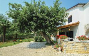 Zahrada ubytování Apartment Grabova Iv