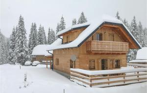 Schoenes Holzhaus In Flattnitz v zimě