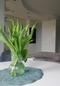 Posedenie v ubytovaní Apartament 35