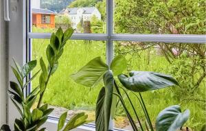 Κήπος έξω από το Nice Apartment In Bad Schandau- Kleing