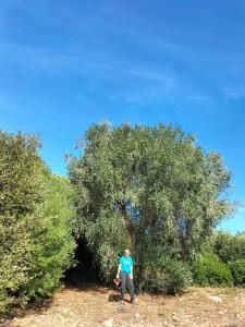 Fotografie z fotogalerie ubytování Agriturismo Lillastro v destinaci Braccagni