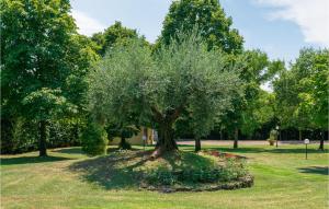 A garden outside Beautiful Home In Castiglion Fiorentino