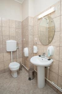 a bathroom with a toilet and a sink and a mirror at Sin-Kom Hotel Garni in Pirot