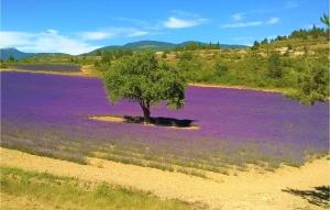 Φυσικό τοπίο κοντά σε αυτή η παραθεριστική κατοικία