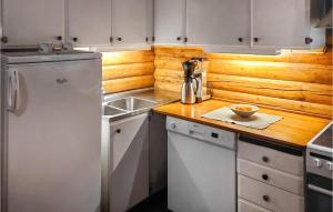 una cucina con un frigorifero bianco e un lavello di Beautiful Home In Bjorli a Bjorli