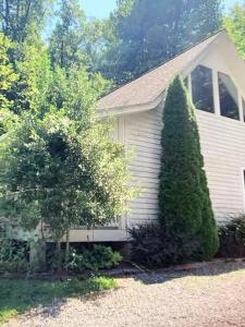 Gallery image of Charming country house by the creek in Sylva in Sylva