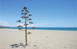 un pequeño árbol en la arena en una playa en Charming Apartment With Pool, en Vera