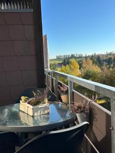 a table on a balcony with plants on it at Harzlicht Braunlage - mit Balkon und Weitblick in Braunlage