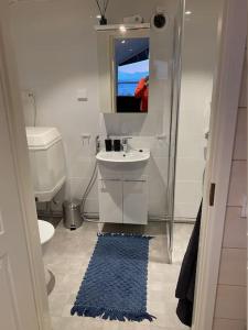 a bathroom with a sink and a toilet and a mirror at Northern Lights Haven in Ytre Tomasjord
