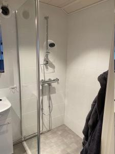 a bathroom with a shower and a sink at Northern Lights Haven in Ytre Tomasjord