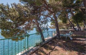 Příroda nedaleko apartmánu + 28 fotografií