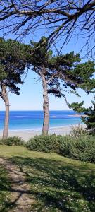 dwa drzewa na plaży z oceanem w tle w obiekcie Gîte 2 personnes 700m de la plage w mieście Trévou-Tréguignec