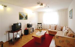salon z kanapą i telewizorem w obiekcie Holiday Home Marceljani Kolcic Breg w mieście Vinež