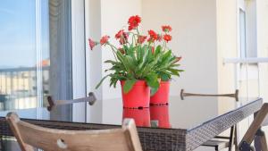 Fotografie z fotogalerie ubytování APARTAMENT LO COR DEL DELTA v destinaci Sant Jaume d'Enveja
