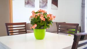 Posezení v ubytování APARTAMENT LO COR DEL DELTA