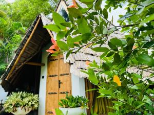 Zahrada ubytování Turtle Wood Cabin