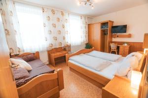 TV a/nebo společenská místnost v ubytování Gasthaus Bauer