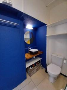 a blue bathroom with a toilet and a sink at Appart Distillerie in Narbonne +3 photos