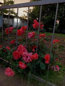 Gallery image of Ainazik guest house in Toktogul +1 photo