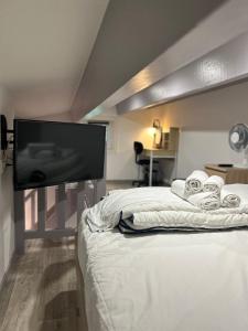 a bedroom with a bed with a flat screen tv at Le cocon de la Garrigue in Cap d'Agde
