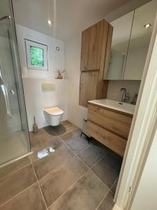 a bathroom with a toilet and a sink and a shower at Bosrijk chalet Veranda, Honden in Doornspijk