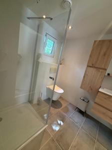 a bathroom with a glass shower and a toilet at Bosrijk chalet Veranda, Honden in Doornspijk