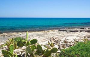 ein Kaktusuanauanauanauanauanauanauanauanauanauanauanauana in der Unterkunft 2 Bedroom Amazing Home In Marina Di Modica in Marina di Modica + 9 Fotos