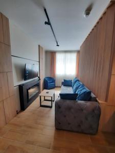 a living room with a couch and a tv at Apartman Radmila in Kopaonik