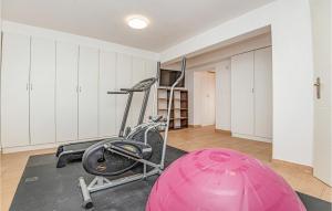 Fitness centrum a/nebo fitness zařízení v ubytování 4 Bedroom Stunning Home In Brodarica