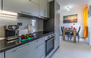 Virtuve vai virtuves zona naktsmītnē Stunning Apartment In Liznjan With Wifi