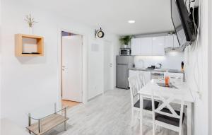 Kuchyň nebo kuchyňský kout v ubytování 1 Bedroom Amazing Apartment In Krk