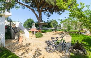 two bikes parked in a yard with a tree at Casa Bizzarra in Rovinj