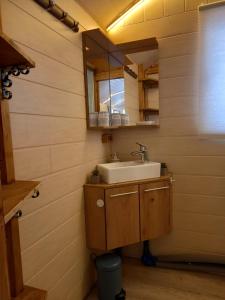 ein Badezimmer mit Waschbecken und Spiegel in der Unterkunft Cottage-Irina in Brandenburg an der Havel