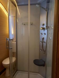 a bathroom with a shower and a toilet at Cottage-Irina in Brandenburg an der Havel