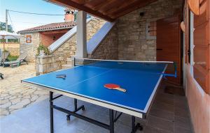 Stolný tenis v ubytovaní Holiday Home Boduleri Cr alebo v jeho okolí