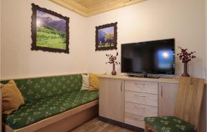 Μια τηλεόραση ή/και κέντρο ψυχαγωγίας στο Ferienhaus In Ruhiger Lage