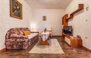 a living room with a couch and a television at Awesome Apartment In Premantura in Premantura