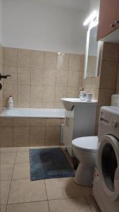 Koupelna v ubytování Zamca Studio