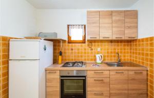 Kuchyň nebo kuchyňský kout v ubytování Apartment Vir Iii