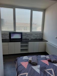 Krevet ili kreveti u jedinici u okviru objekta Apartmani Kuzman