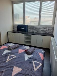 Postel nebo postele na pokoji v ubytování Apartmani Kuzman