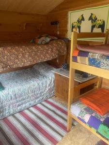 a bedroom with two bunk beds and a rug at Stuga i Solvarbo, Dalarna in Gustafs
