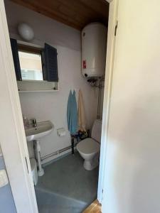 a small bathroom with a toilet and a sink at Stuga i Solvarbo, Dalarna in Gustafs +22 photos